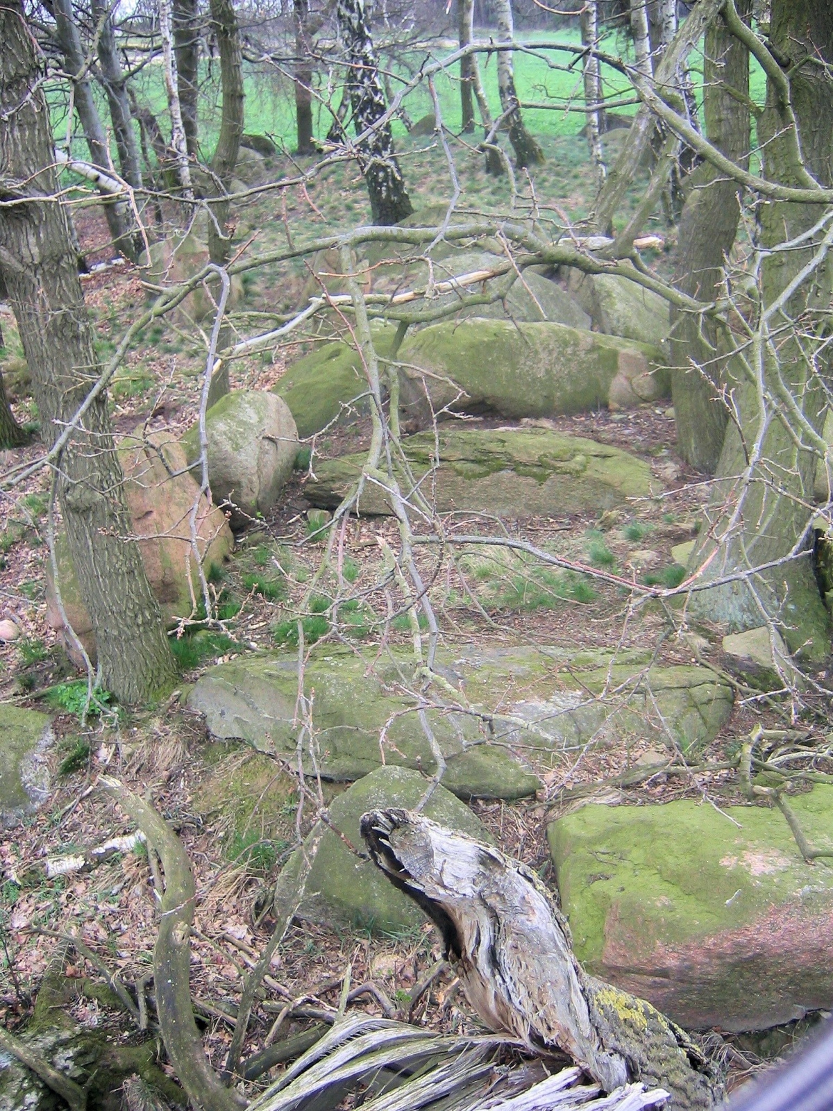 Großsteingrab Molmke. Foto: B. Fritsch