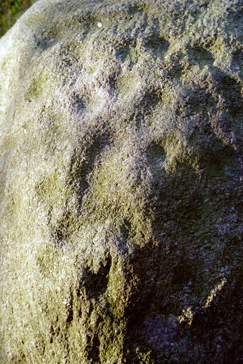 Ein neu entdeckter einzelner Schälchenstein in Jeetze/Altmarkkreis Salzwedel, Foto: L. Mittag
