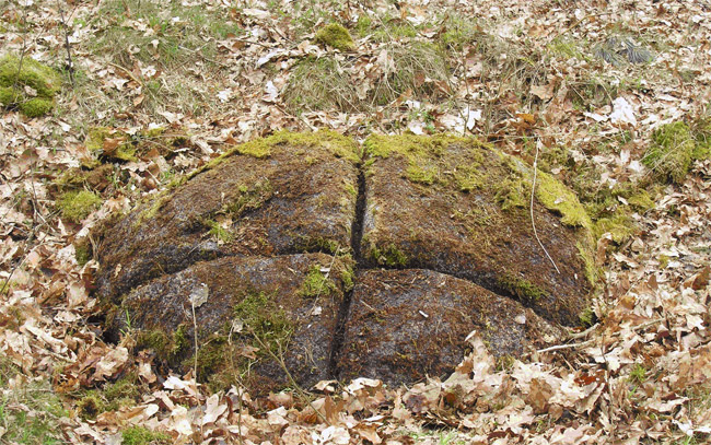 Stein mit Spaltrinnen bei Ellenberg, Foto: L. Mittag